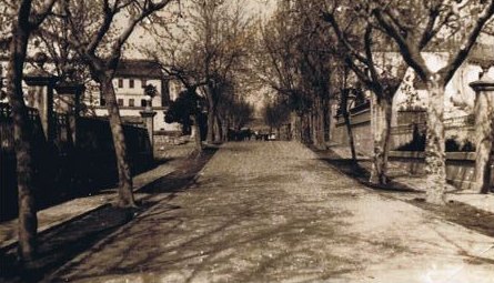 Camino de la Estación con arbolado