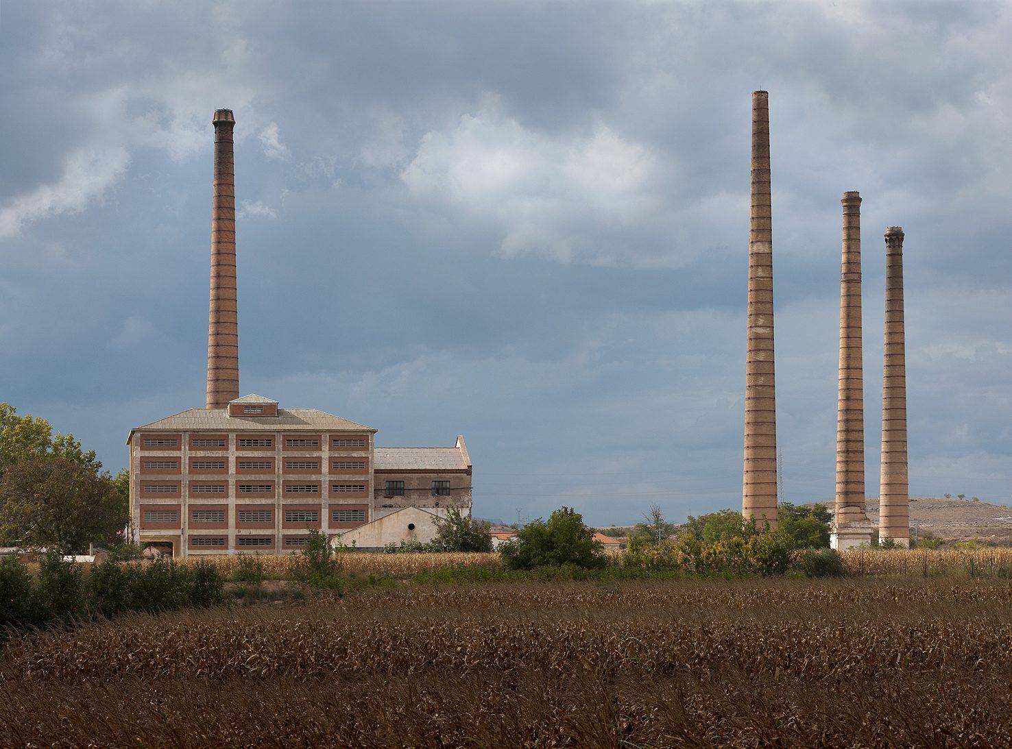 Las cuatro chimeneas de ladrillo y el silo de la antigua Azucarera del Jalón sobre la vega